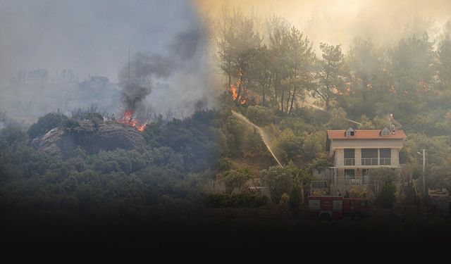10 bin hektarlık alan kül oldu... İzmir Alev alev