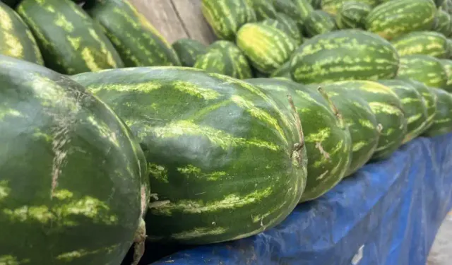 Yapay zeka pazara indi: Karpuz seçimi artık onda!