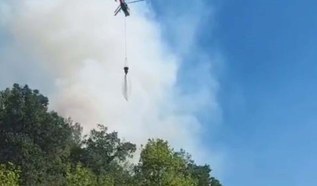 Denizli'de orman yangını, 2 saatte kontrol altına alındı