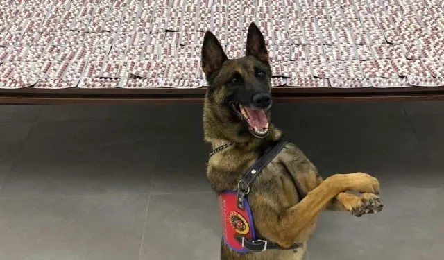 Denizli'de dev operasyon: Binlerce uyuşturucu hap ele geçirildi!