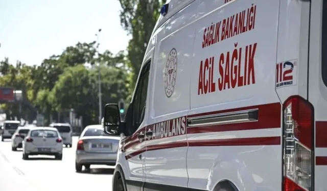 Kontrolden çıkan kamyonet tarlaya devrildi: Sürücünün acı sonu!