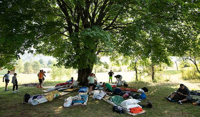 Sadece yatarak 2000 euro kazanacaklar: 14 yıldır devam ediyor