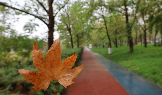 Manisa'da sonbahar renkleri