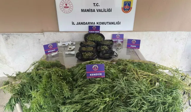 Manisa'da uyuşturucu operasyonu: 11 tutuklama