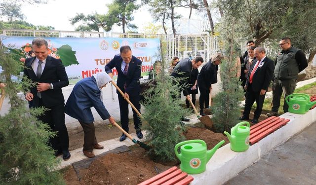 Muğla'da 16 bin öğretmen adına fidan dikildi