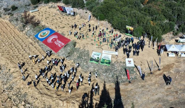 Şehitlerin adı fidanlarla yaşatıldı