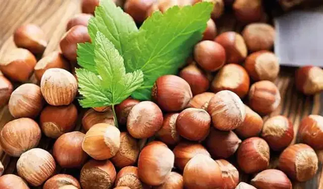 Ferrero iddiası tartışma yarattı: ‘Fındığı yeriz, bu numarayı yemeyiz’