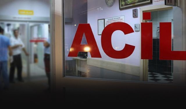 Budamak için çıktığı ağaçtan düşen kadın hayata tutunamadı