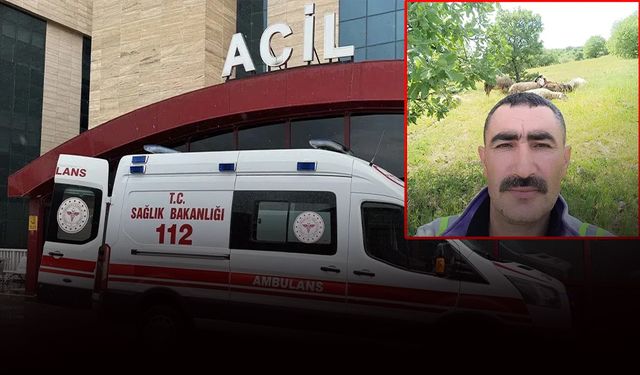 Manisa'da korkunç olay: Avcı tarafından vurulan çoban öldü