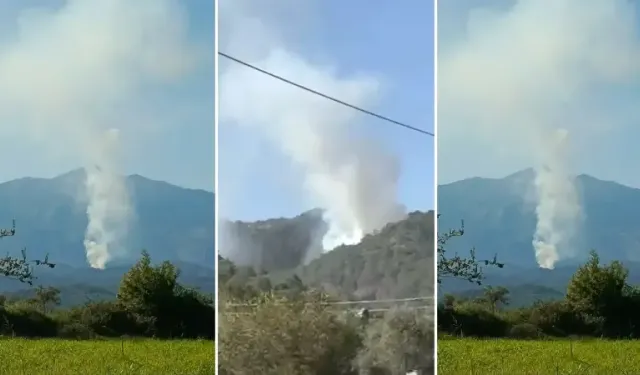 Muğla'da orman yangını kontrol altında!