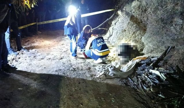 Aydın'da ormana odun toplamaya giden kişi ölü bulundu