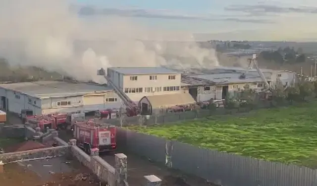 Kauçuk fabrikasında yangın!