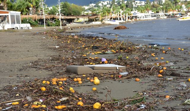 Yağmur suyuyla denize sürüklenen atıklar kıyıya vurdu