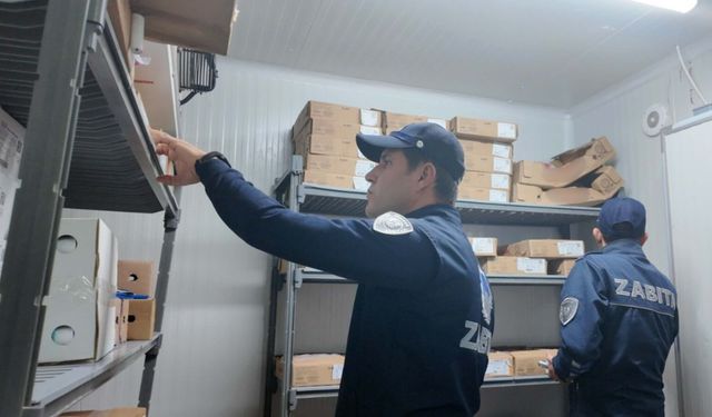 Bodrum'da gıda ve hijyen denetimi: 108 işletmeye ceza!