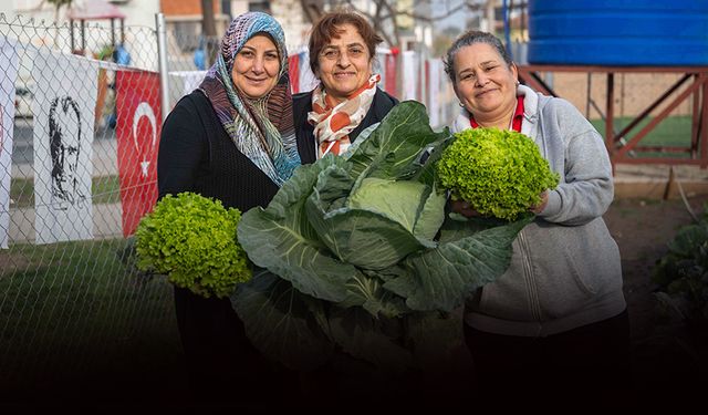 Bornova’da Kent Bostanlarında hasat zamanı!