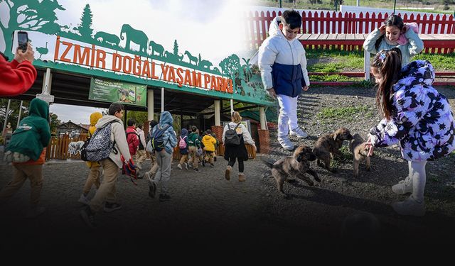 Büyükşehir'den anlamlı uygulama... Çocuklara hayvan sevgisi kazandırılıyor!