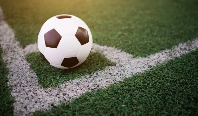 Egeliler 3'üncü Lig'de zorlu sınavlarda