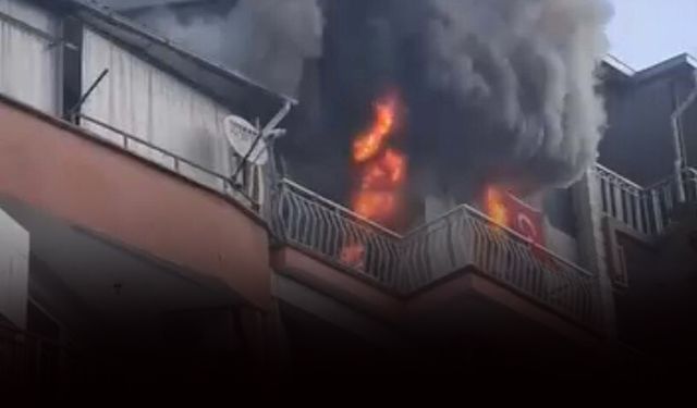 Manisa’da yürek yakan yangın: 6 kedi telef oldu!