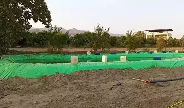 Sulama havuzunda can pazarı: İki kardeşin ölümünde karar!