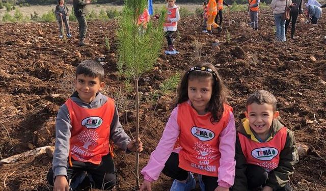 '81 İlde 81 Orman' projesi Muğla'da devam ediyor