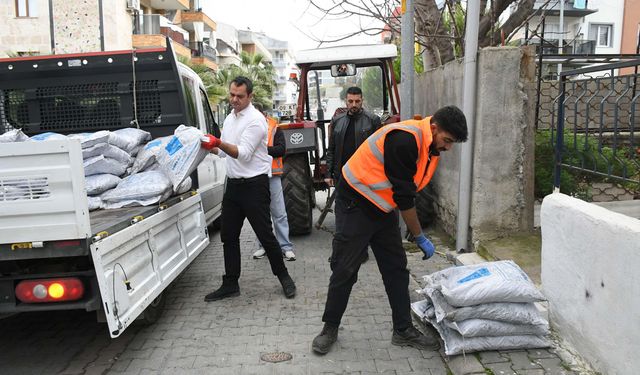 Kuşadası'nda ihtiyaç sahiplerine kömür desteği