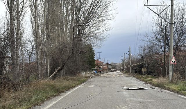 Kenti kuvvetli fırtına vurdu: Ağaçlar devrildi!