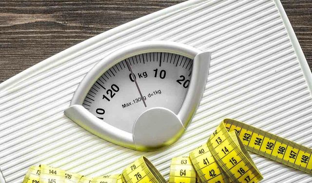 Bodrum Belediyesi'nden 'Gezen Tartı Projesi'