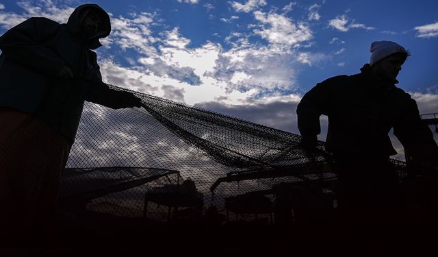 Ege'de sardalya bereketi!