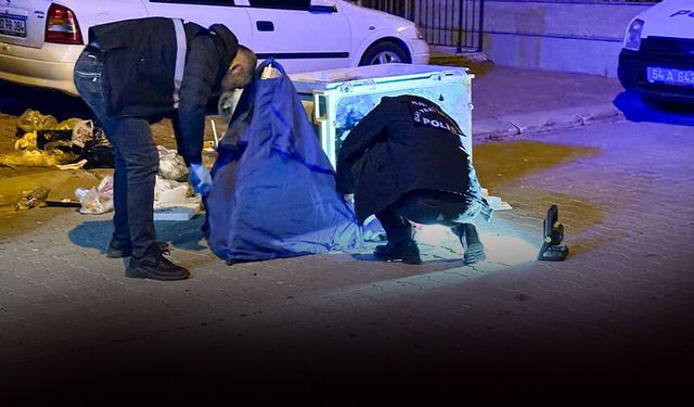 Kan donduran olay: Çöp konteynerinde bebek cesedi bulundu!