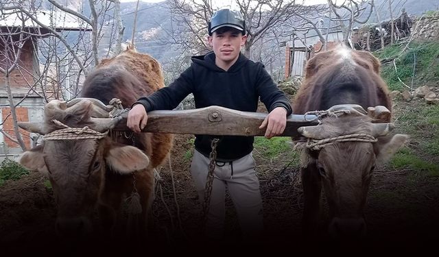 Kuzenlerin tartışmasında kan aktı: Av tüfeğiyle vurdu!