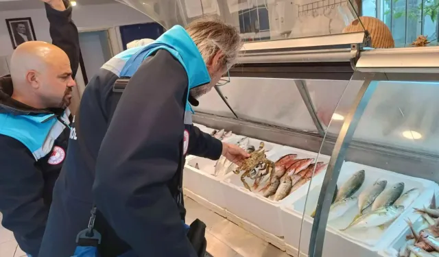 Muğla'da su ürünleri denetimi: 6 işletmeye 379 bin TL ceza!