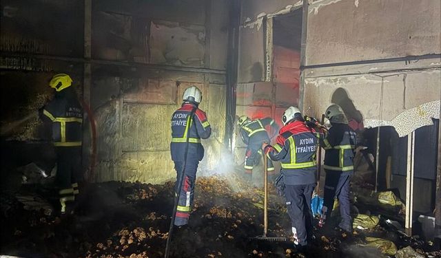 Çam fıstığı işleme tesisinde çıkan yangın söndürüldü