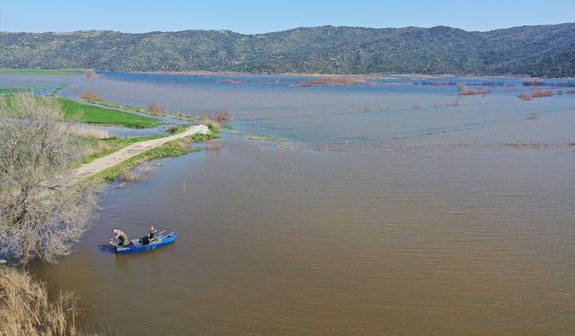 Bir zamanlar tarım arazisiydi, şimdi balık avlanıyor!