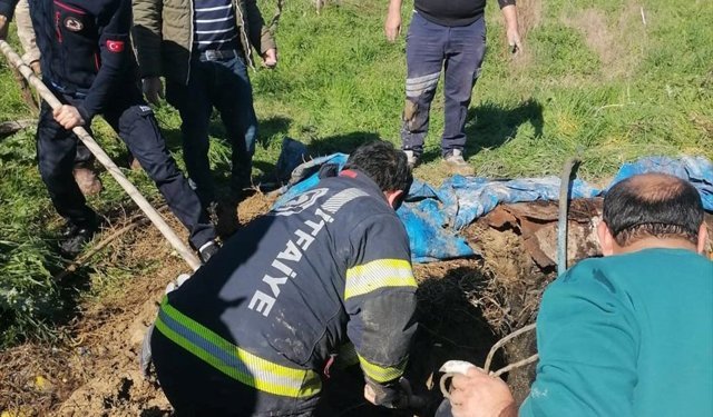 Foseptik çukuruna düşen inek itfaiye ekiplerince kurtarıldı