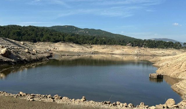 Bodrum'a su sağlayan Geyik Barajı'ndan iyi haber: Yüzde 100 doluluğa ulaştı