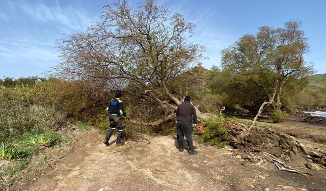 Bodrum'da fırtına etkili oldu: Ağaçlar devrildi, tekne karaya oturdu!