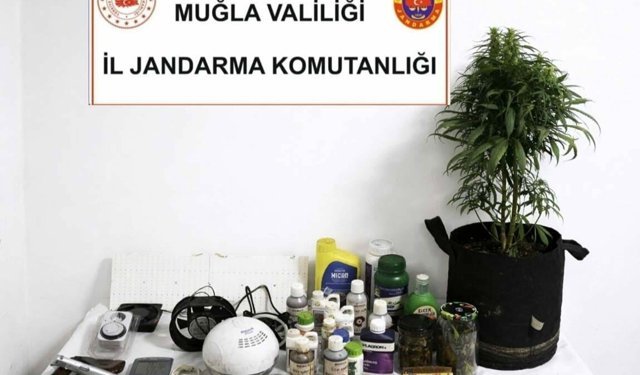 Muğla'da aranması bulunan 35 şüpheli tutuklandı