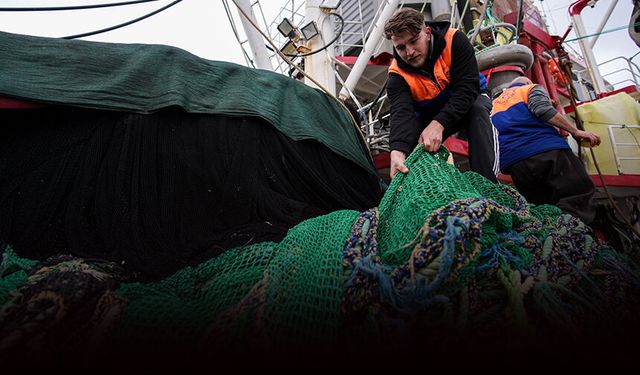 Egeli balıkçılar sezonun kalanından umutlu