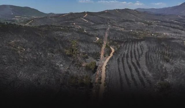 İzmir'de 'yanan yerler imara açıldı' iddiasına resmi açıklama: Süreç daha önce konut ihtiyacından dolayı başladı!