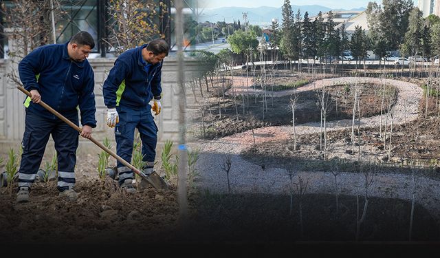 Büyükşehir’den mikroforest hamlesi… Atıl alanlar yeşeriyor!