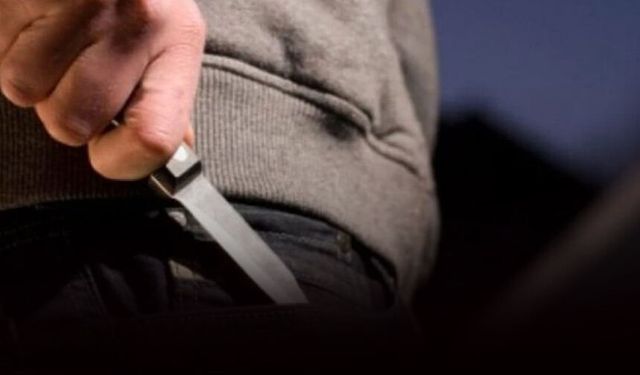 Muğla'da vahşet: Köpek bıçakla öldürüldü!