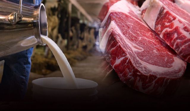 Raflardaki fiyatlar uçtu, Tire Süt Başkanı Öztürk’ten çağrı geldi: Süt-yem ve et zamları birlikte belirlensin