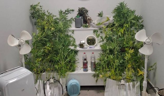 Zehir yetiştirdiği evde yakalandı!