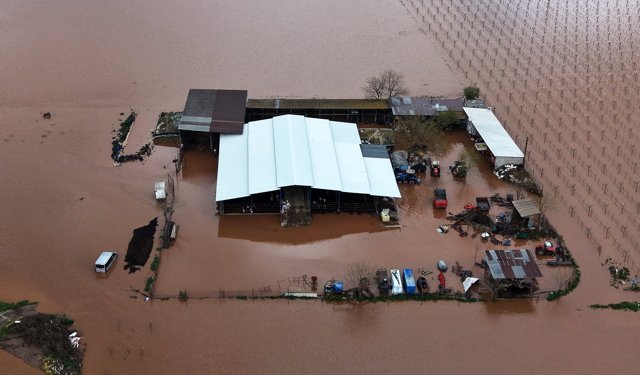 Gediz Nehri taştı: Manisa'da tarım arazileri su altında kaldı