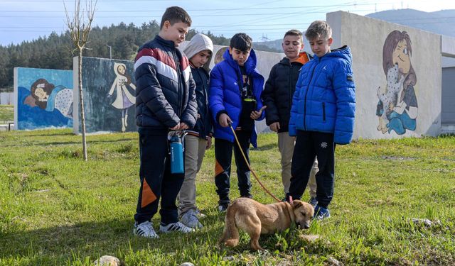 Büyükşehir'den “Satın alma, sahiplen” çağrısı: 2 bin 300 patili yuva bekliyor
