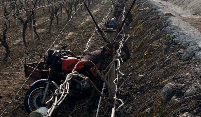 Sepetli motosiklet üzüm bağına devrildi: 1 ölü
