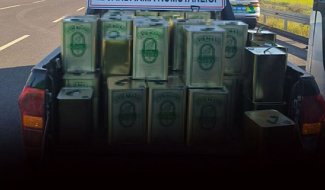 Aydın'da 942 litre sahte zeytinyağı ele geçirildi: Piyasa değeri 1 milyon 450 bin TL