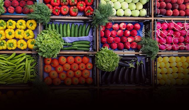 Ege Yaş Meyve Sebze İhracatçıları Birliği Başkanı Uçak: Savaşın ihracatımıza etkisi şimdilik yok!