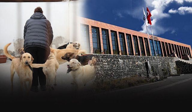 Foça'da çocuğa saldıran köpek sonrası tartışma: Ekiplerin çalışması engellendi