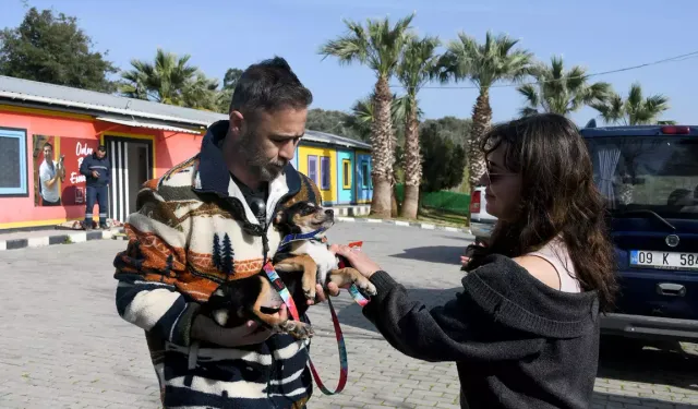 Kuşadası Belediyesi 'Sosis'i' sıcak yuvasına kavuşturdu